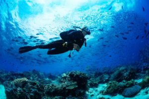 AdobeStock_168542867